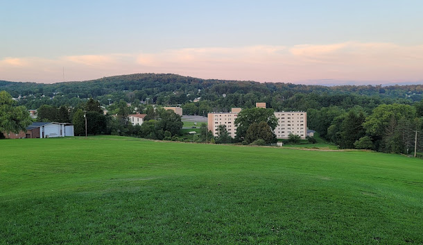 Trex Decks in Endwell, NY